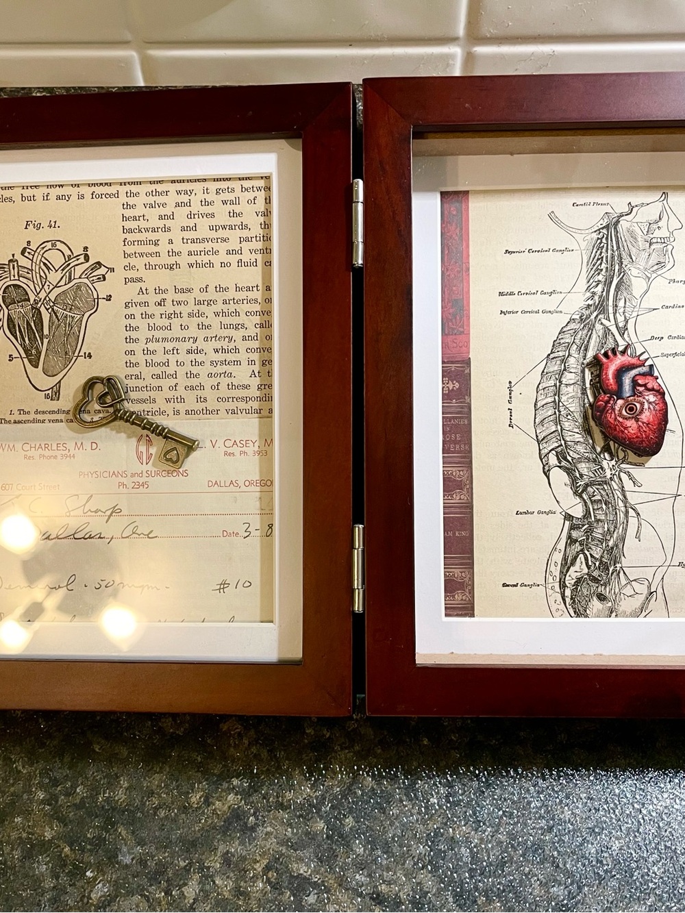 Framed Anatomical Art Print - Brown Frame with Red Accent Heart